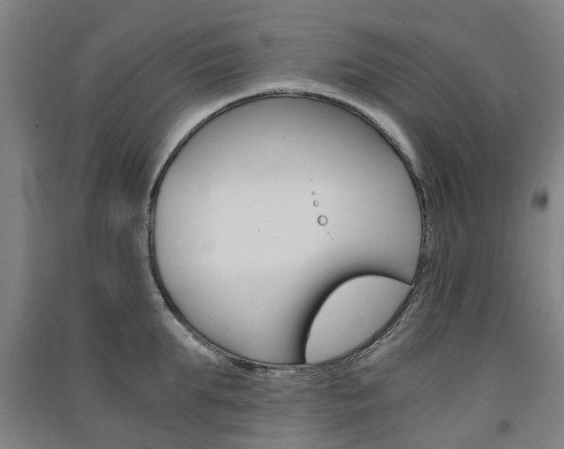 X0000091570903200708200948