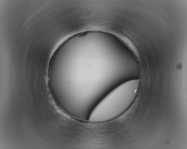 X0000091570904200708200948