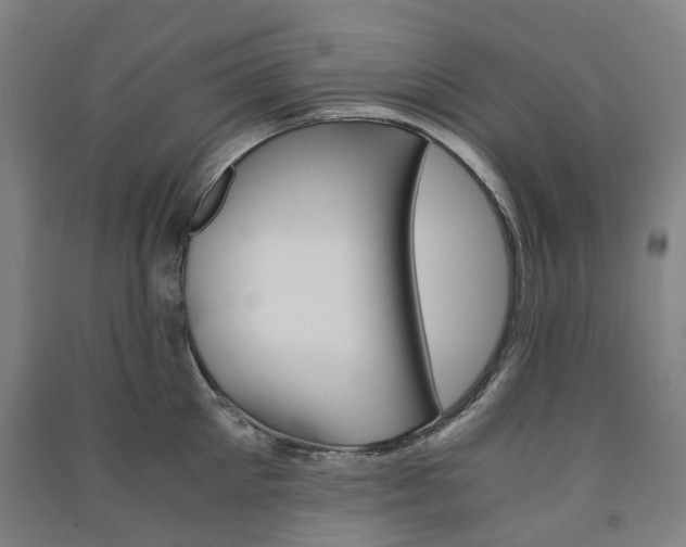 X0000091570905200708200948