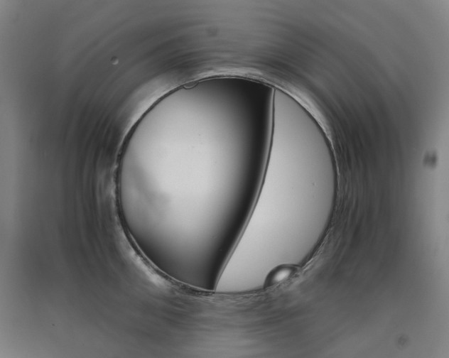 X0000091570906200708200948