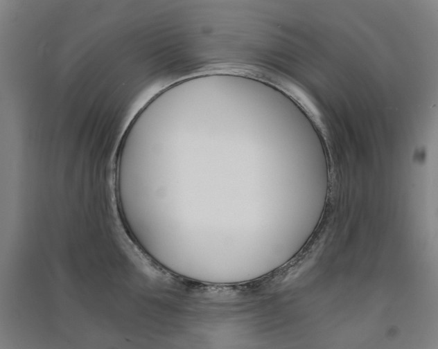 X0000091570907200708200948