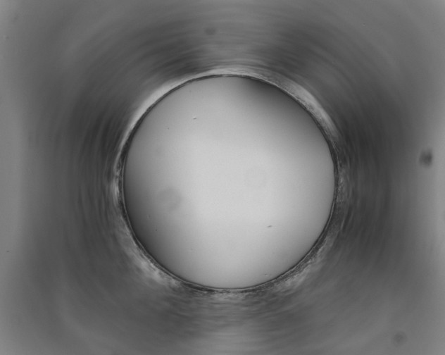 X0000091570908200708200948