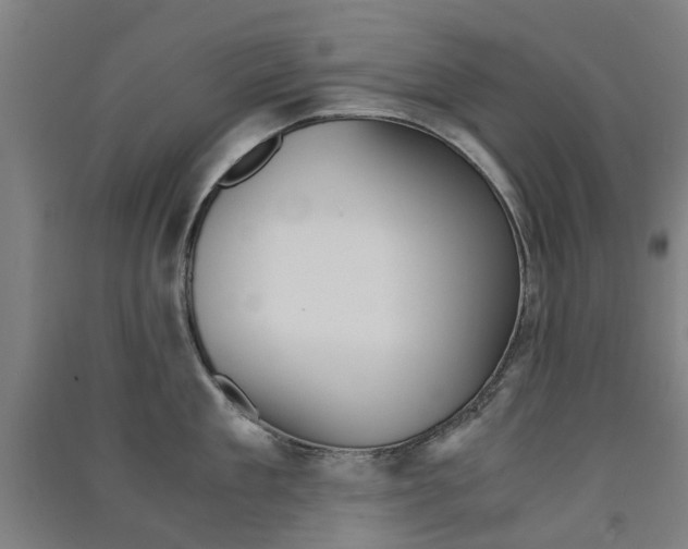 X0000091570909200708200948