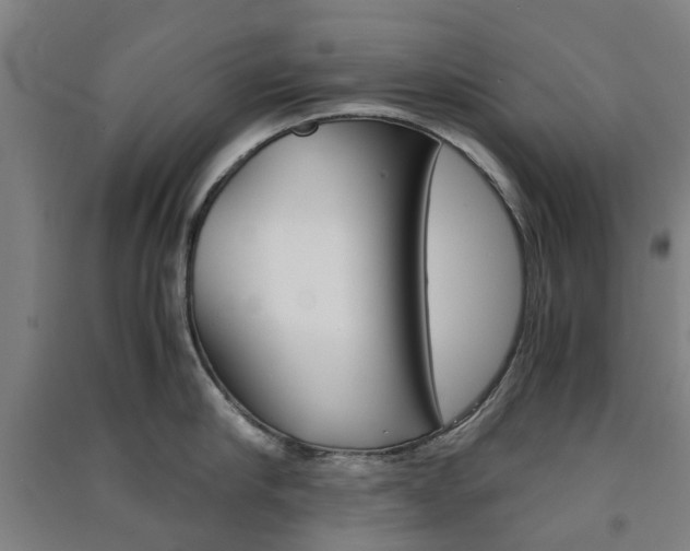 X0000091570910200708200948