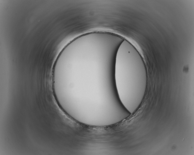 X0000091570911200708200948