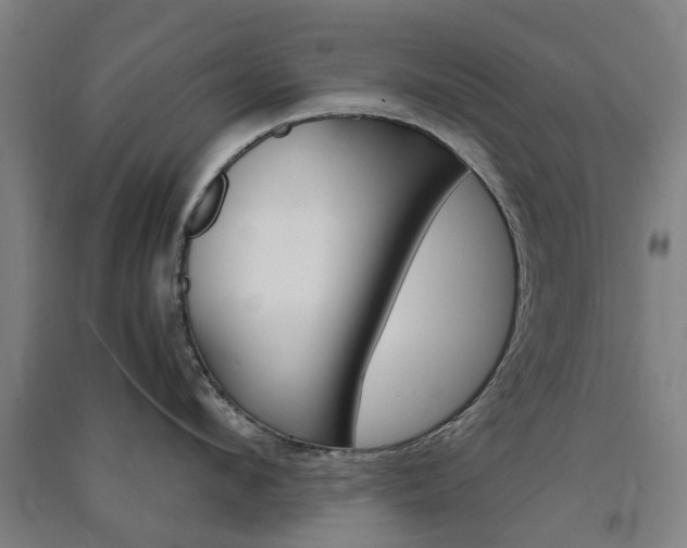 X0000091570912200708200948