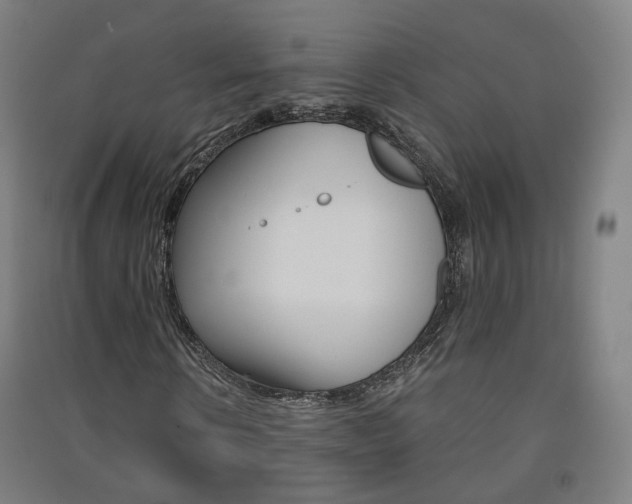 X0000091570914200708200948