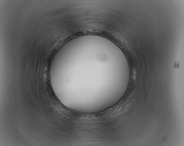 X0000091570915200708200948