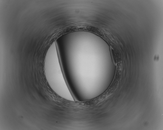 X0000091570916200708200948