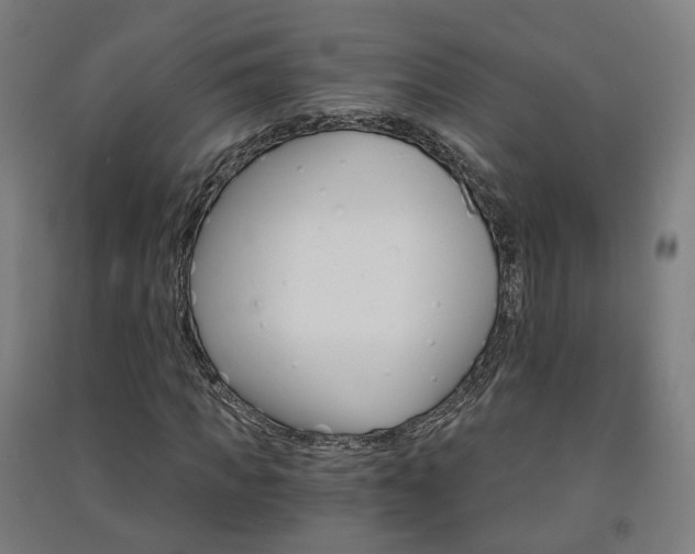 X0000091570917200708200948