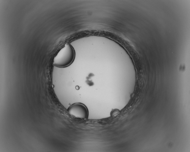 X0000091570918200708200948