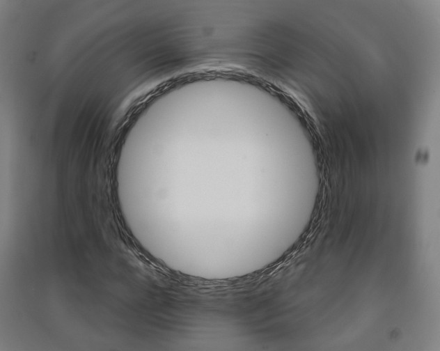 X0000091570920200708200948