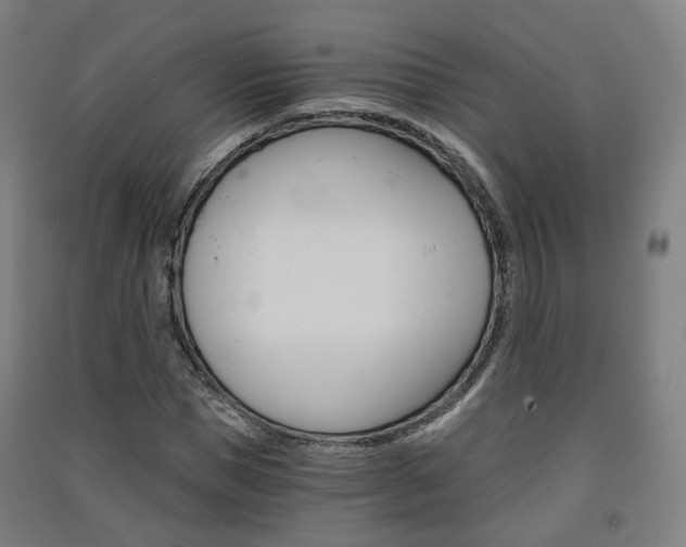 X0000091570921200708200948
