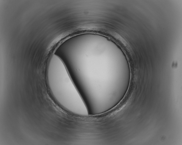 X0000091570922200708200948