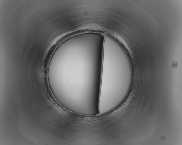 X0000091570923200708200948