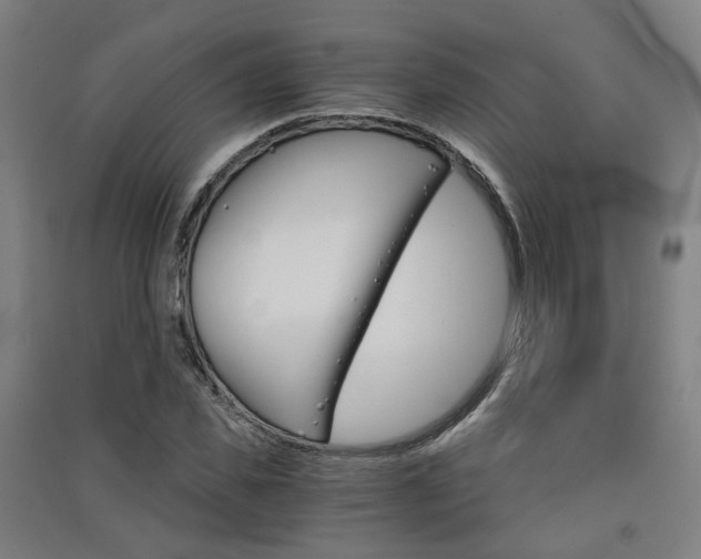 X0000091570925200708200948