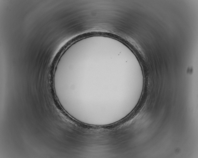 X0000091570926200708200948
