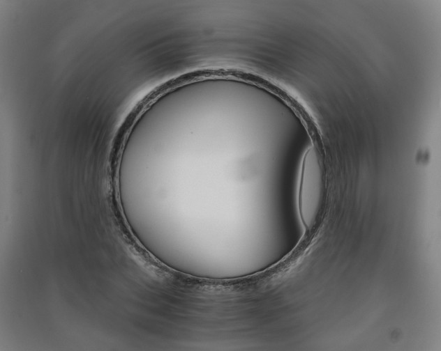 X0000091570927200708200948