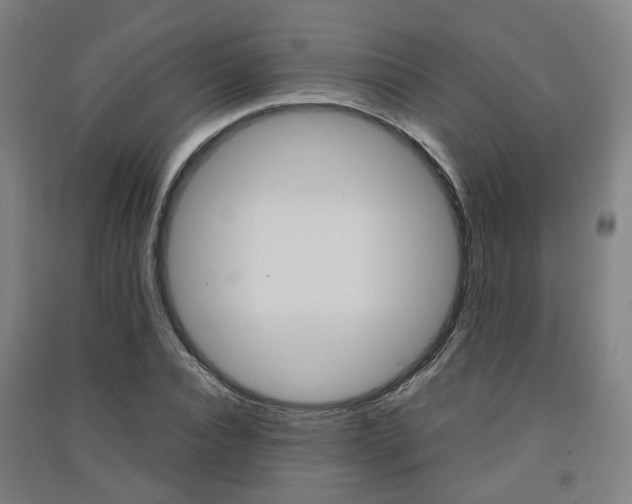 X0000091570928200708200948
