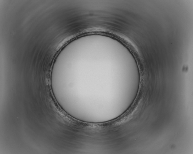 X0000091570929200708200948