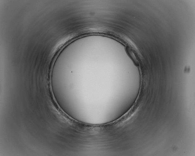 X0000091570930200708200948
