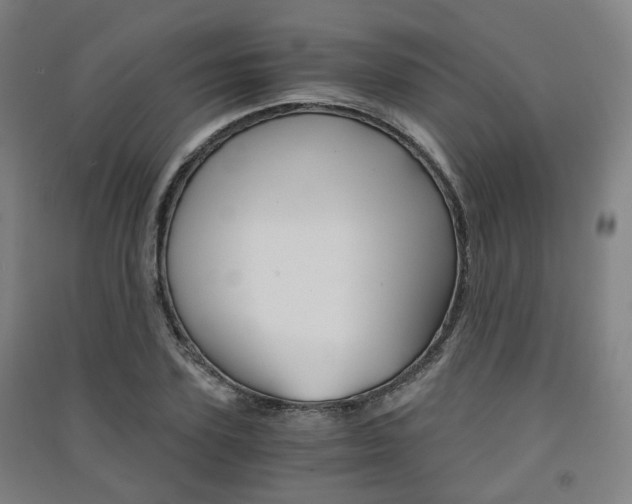 X0000091570931200708200948
