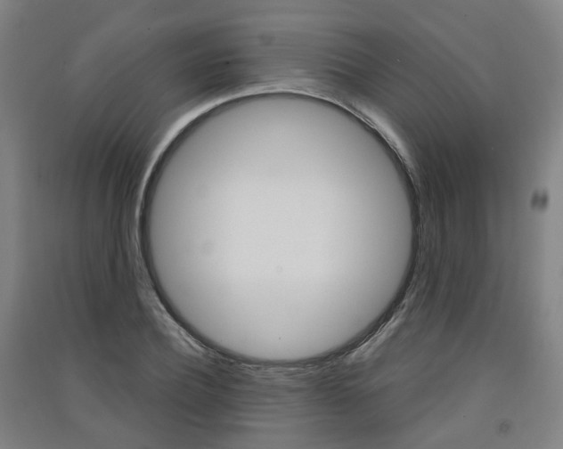 X0000091570932200708200948