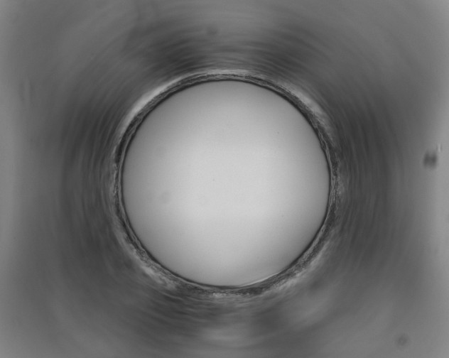 X0000091570933200708200948