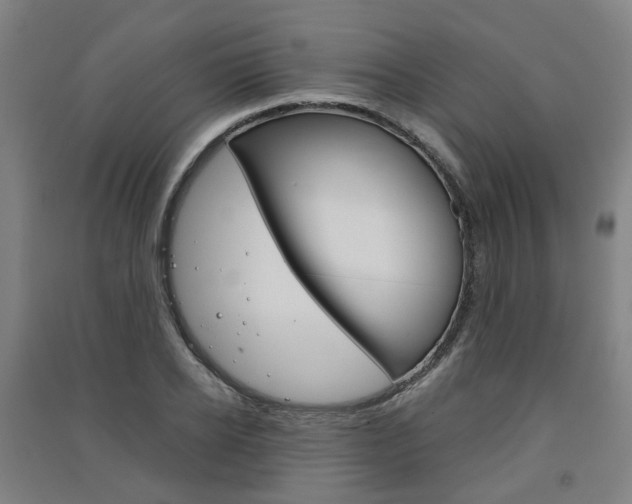 X0000091570934200708200948