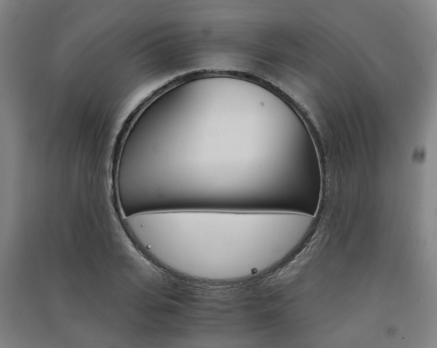 X0000091570935200708200948