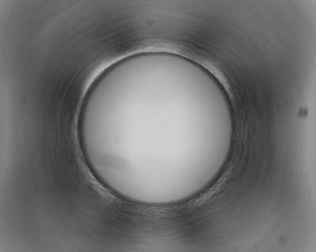 X0000091570936200708200948