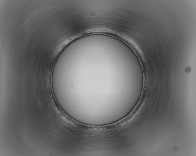 X0000091570937200708200948