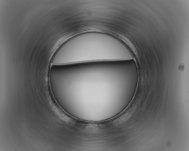 X0000091570938200708200948