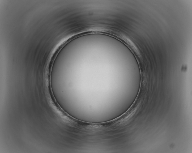 X0000091570939200708200948
