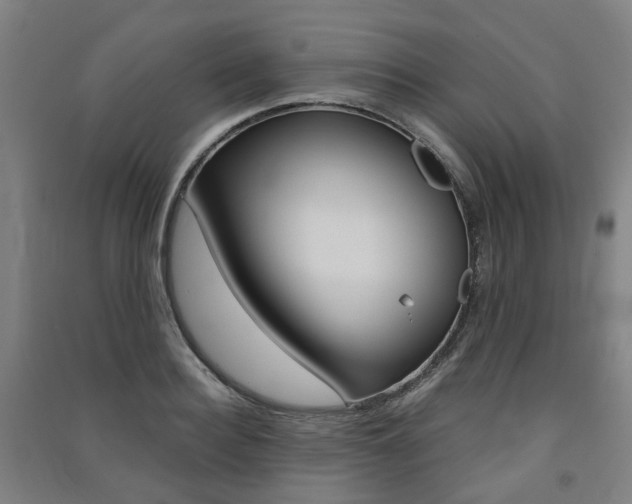 X0000091570940200708200948