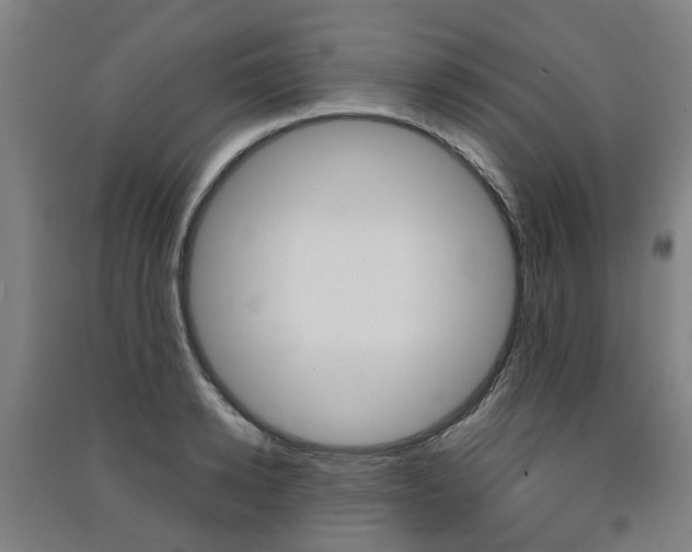 X0000091570942200708200948