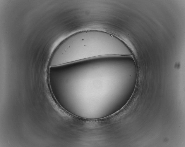 X0000091570944200708200948