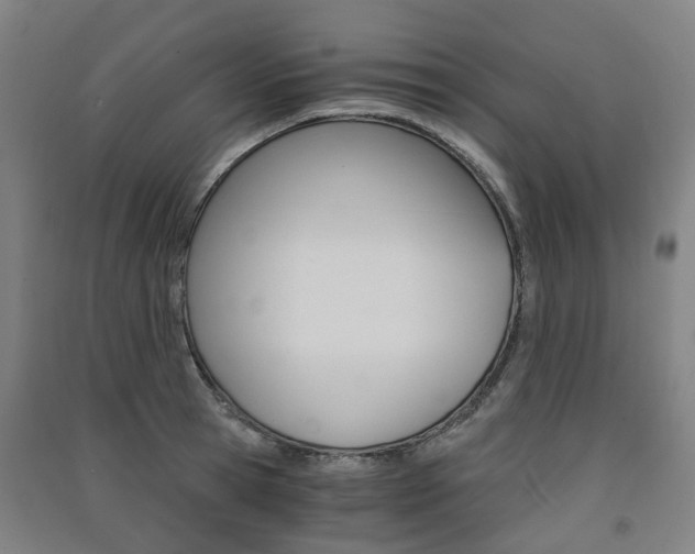 X0000091570945200708200948