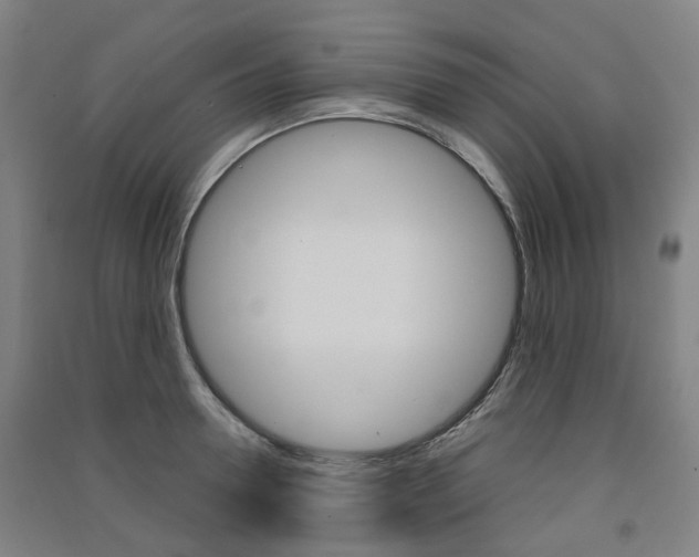 X0000091570946200708200948