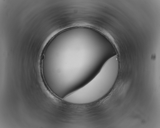 X0000091570947200708200948