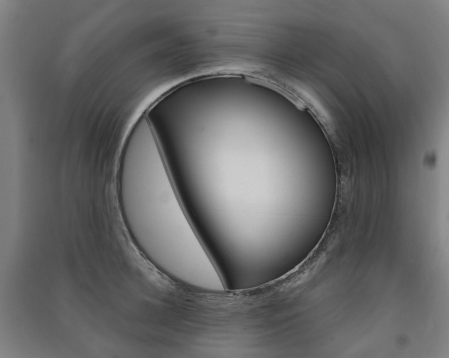X0000091570948200708200948