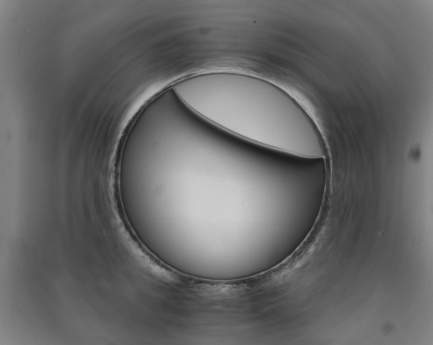 X0000091570949200708200948