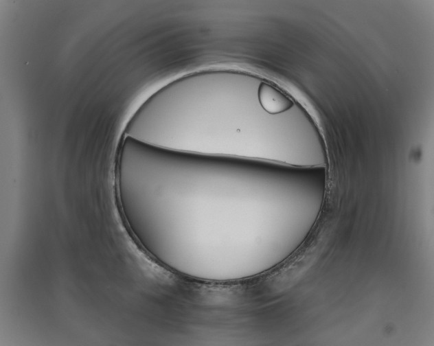 X0000091570951200708200948
