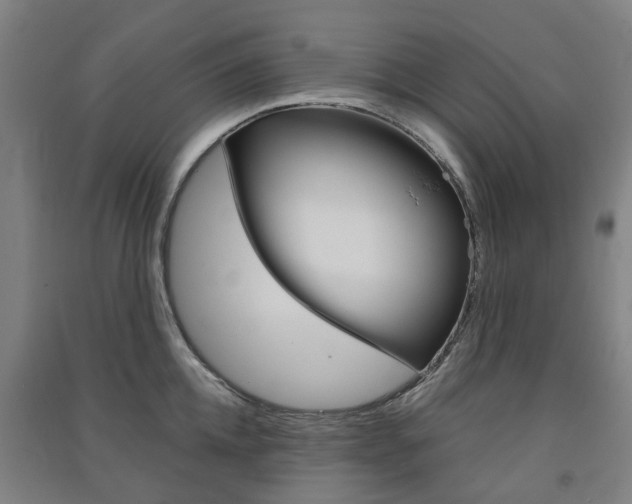X0000091570952200708200948