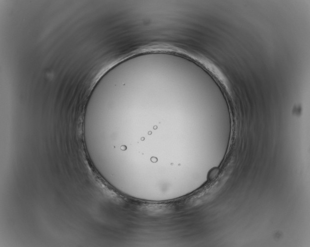 X0000091570953200708200948