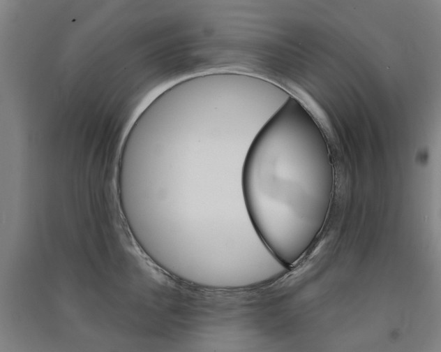 X0000091570956200708200948