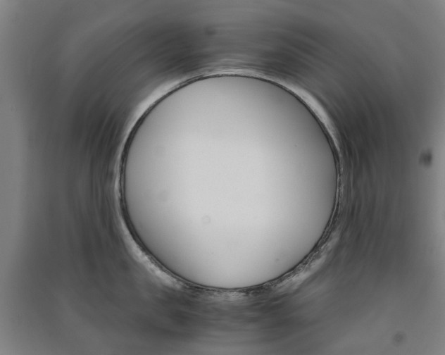 X0000091570957200708200948