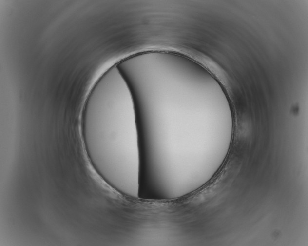 X0000091570958200708200948