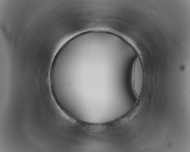 X0000091570959200708200948