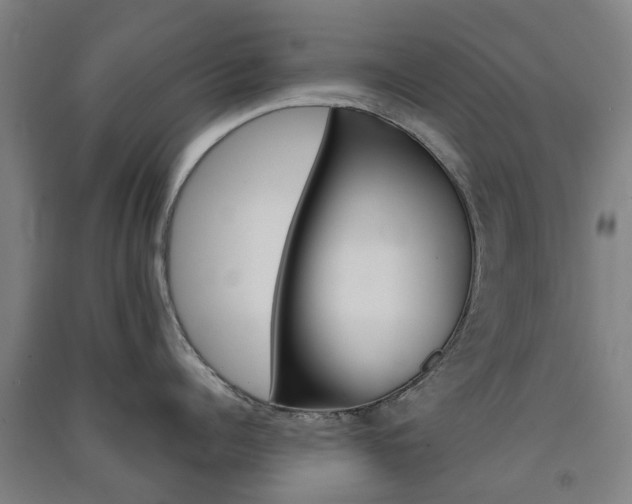 X0000091570960200708200948